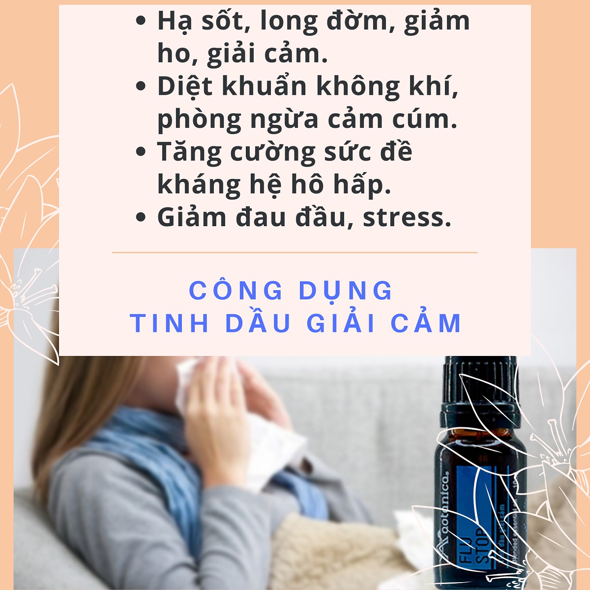 Tinh dầu giải cảm phân đoạn Aotanica