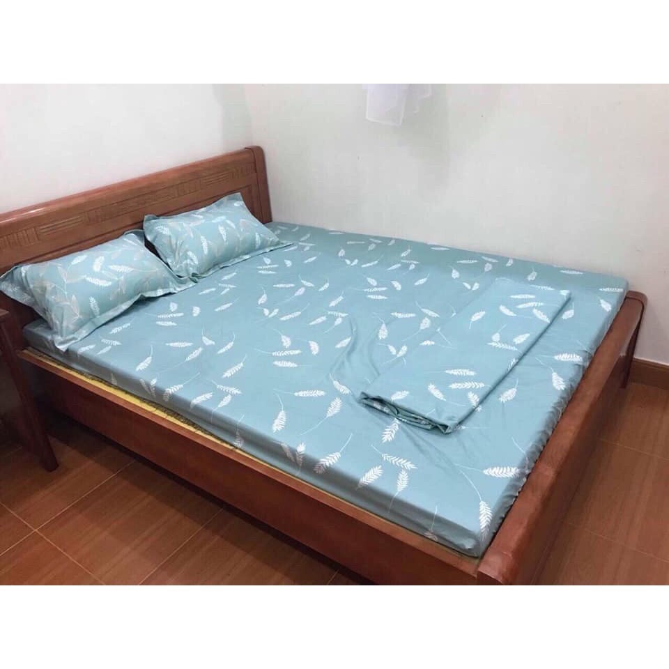 Bộ ga giường 4 món Ga Gối 1m/m2/m4/m6/m8