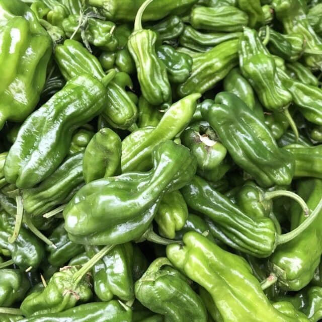 Hạt giống ớt ngọt nhăn shito (Nội địa Trung). 1 gr/gói