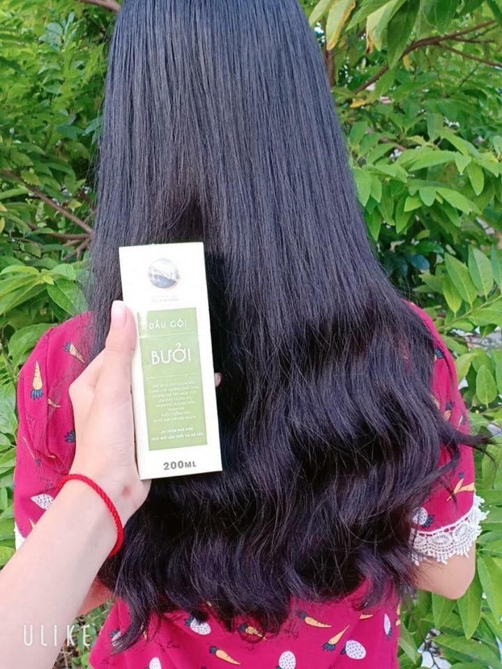[HCM]Dầu Gội Bưởi Nga Hoàng