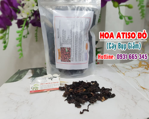 Cây bụp giấm 1kg - đông y thanh bình