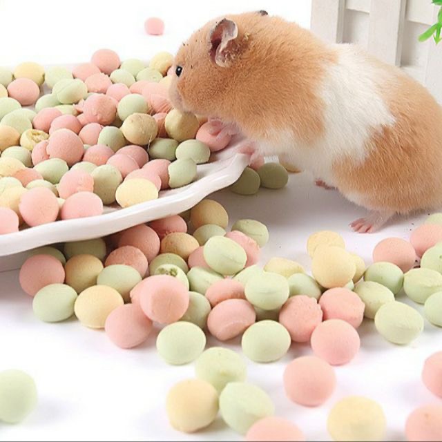 Bánh sữa cho Hamster