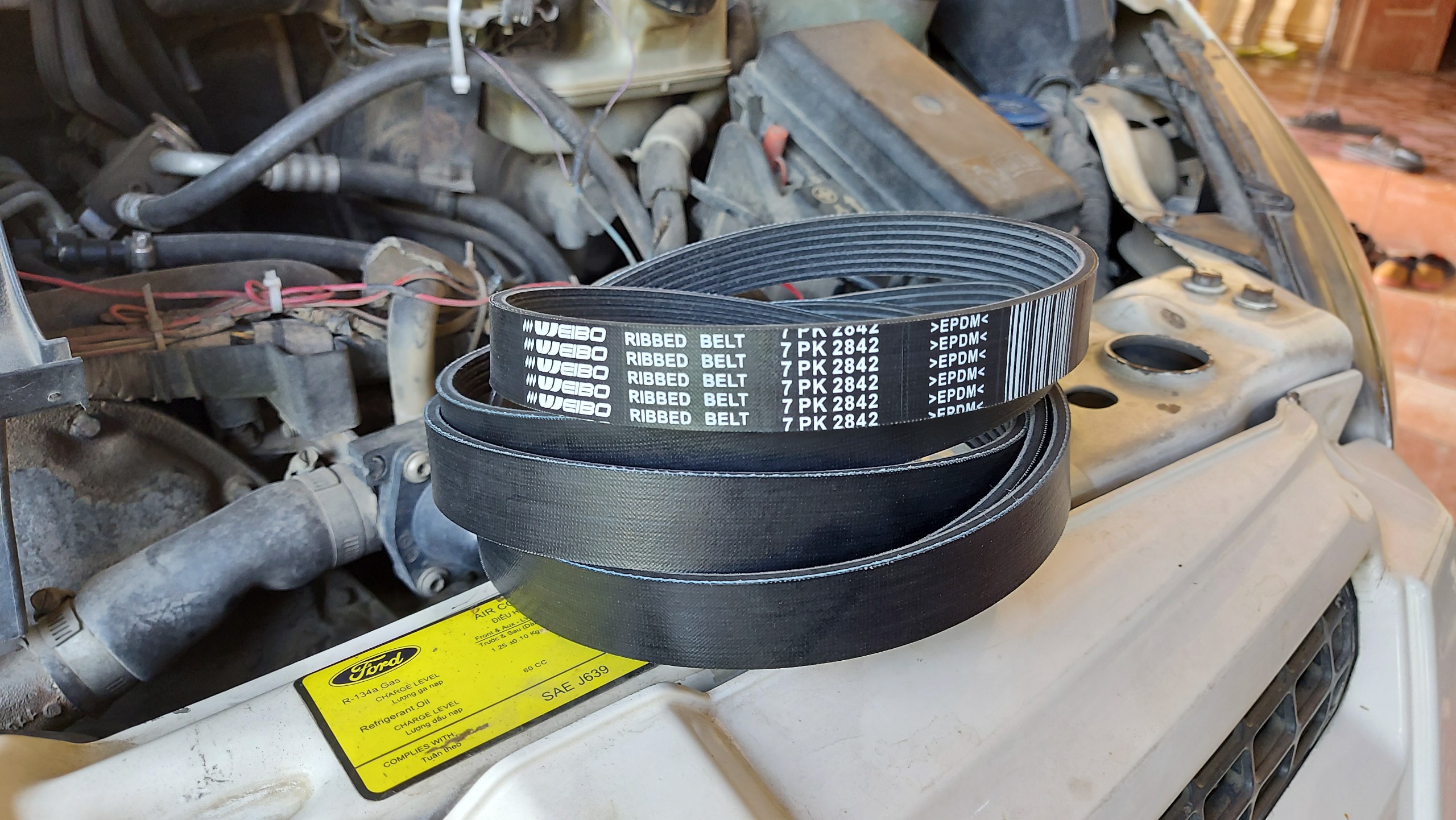 Dây curoa xe ford transit 2007,2008,2009,2010 mã 7pk2842