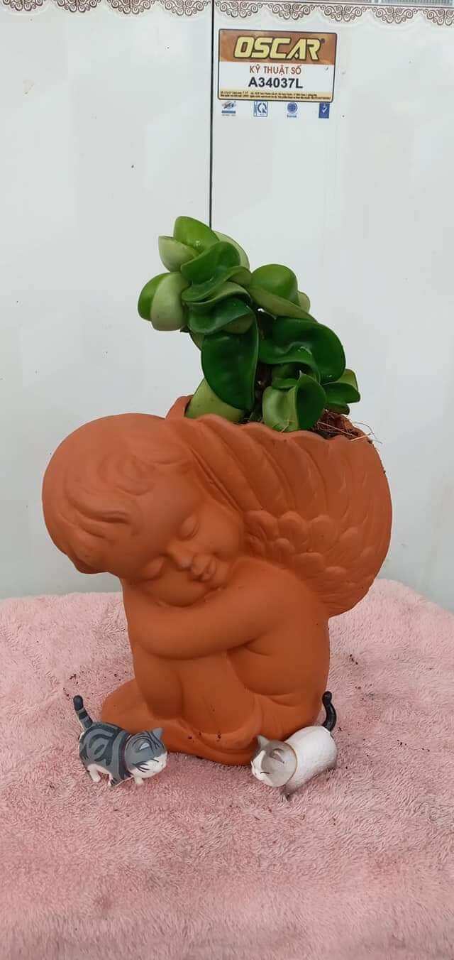 Chậu đất nung hình thiên thần nhỏ