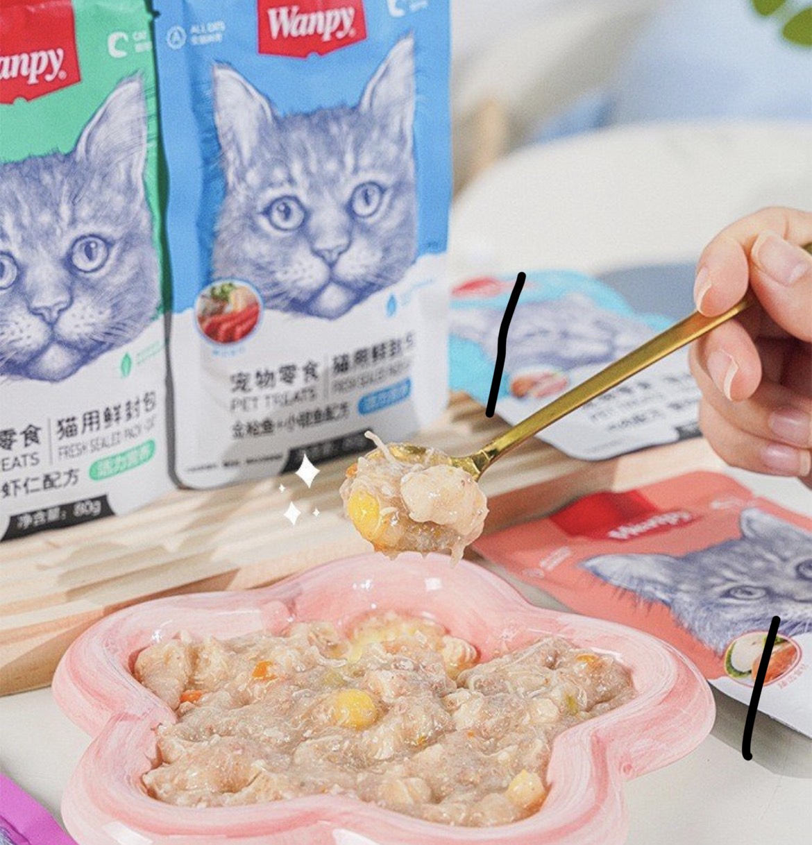 COMBO 10 GÓI PATE WANPY CHO MÈO 80GR