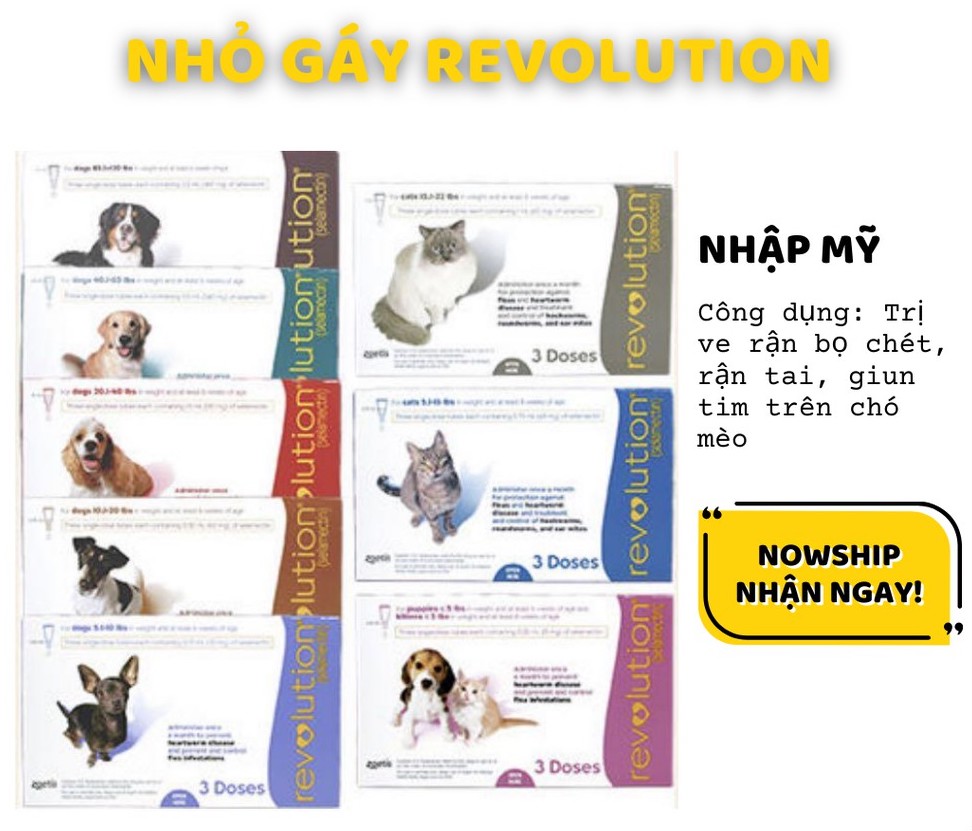 Nhỏ gáy Revolution đuổi sạch ve rận, bọ ché cho chó mèo