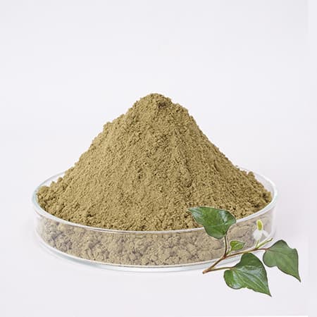Bột diếp cá nguyên chất organic 50GR