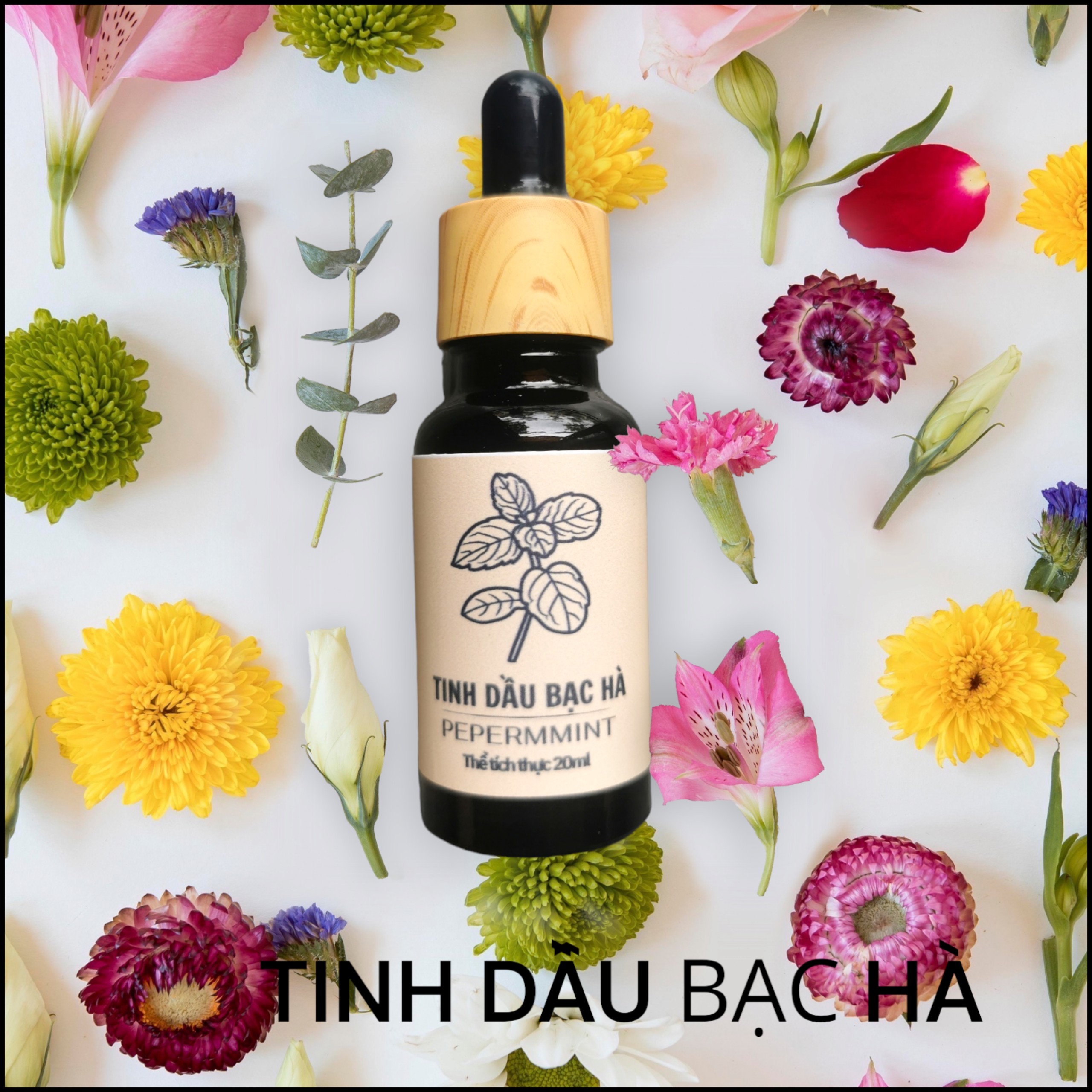 Tinh dầu bạc hà đậm đặc lọ 20ml