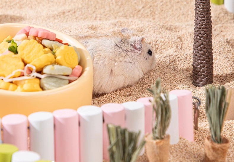 Wooden Ladder for Creating a Landscape for Hamsters with Fat Tails - T3 Pets Shop