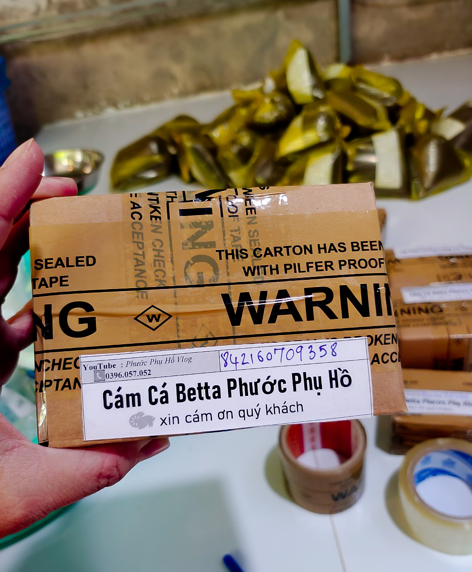 Cám cá betta phước phụ hồ