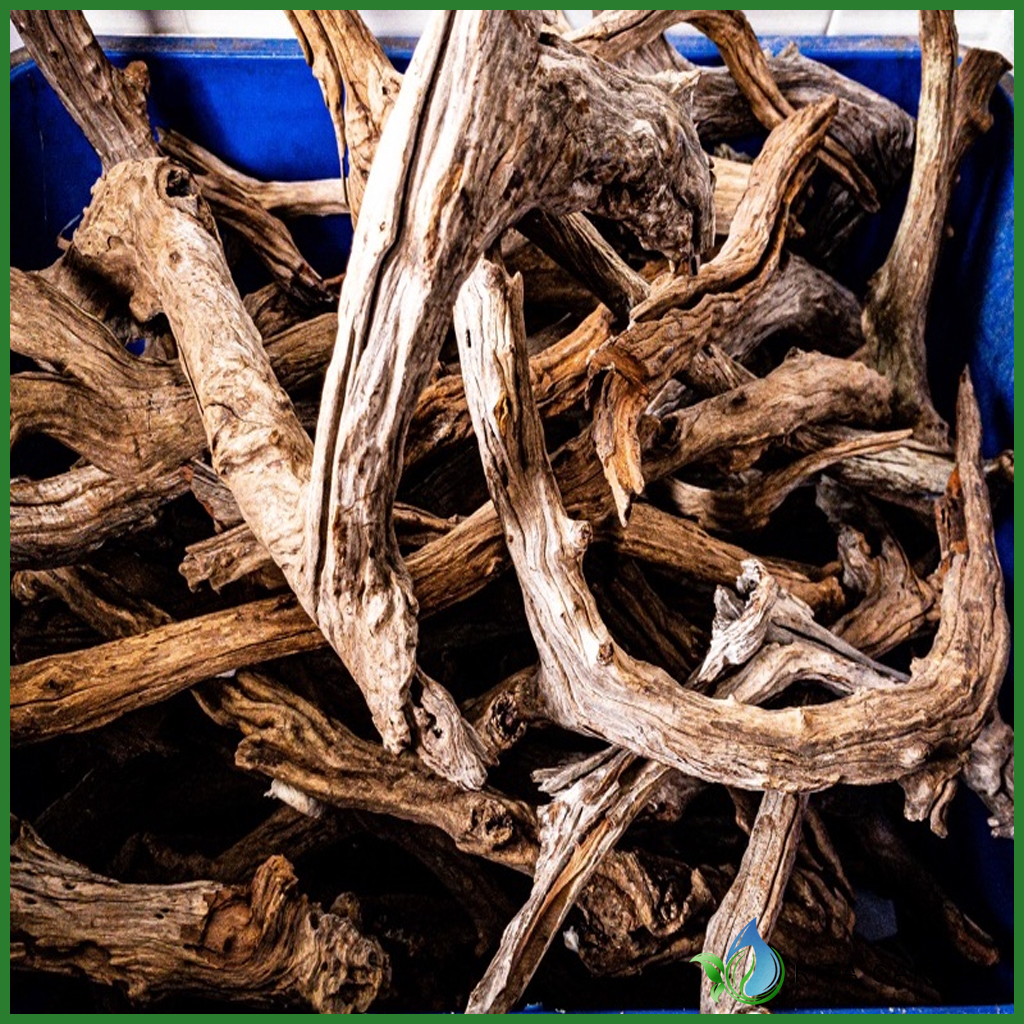 Lũa San Đá Cành (1KG) | Trang trí Thủy Sinh | Size To - Nhỏ