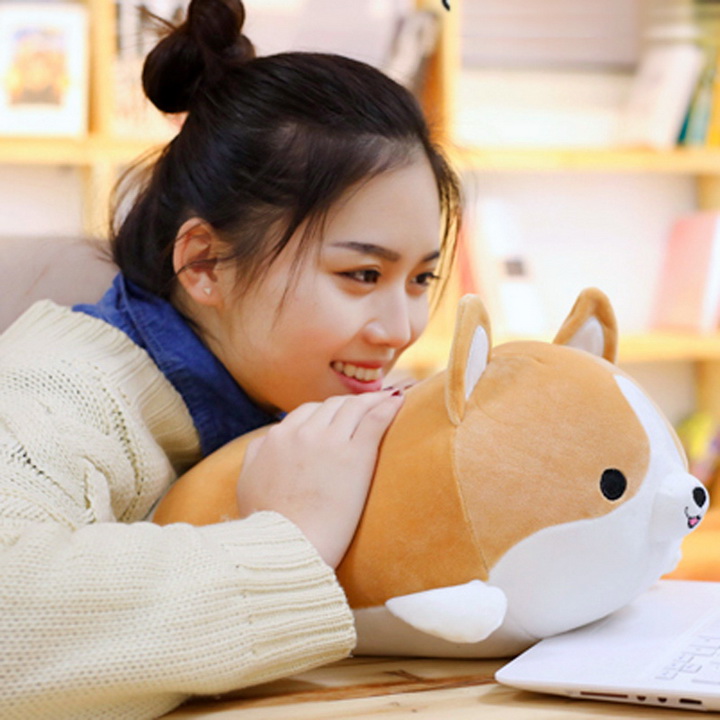 [FREESHIP MAX 15K][HCM]Thú nhồi bông hình chó Corgi đáng yêu TNB234 màu nâu quà tăng sinh nhật và bạn tặng bạn