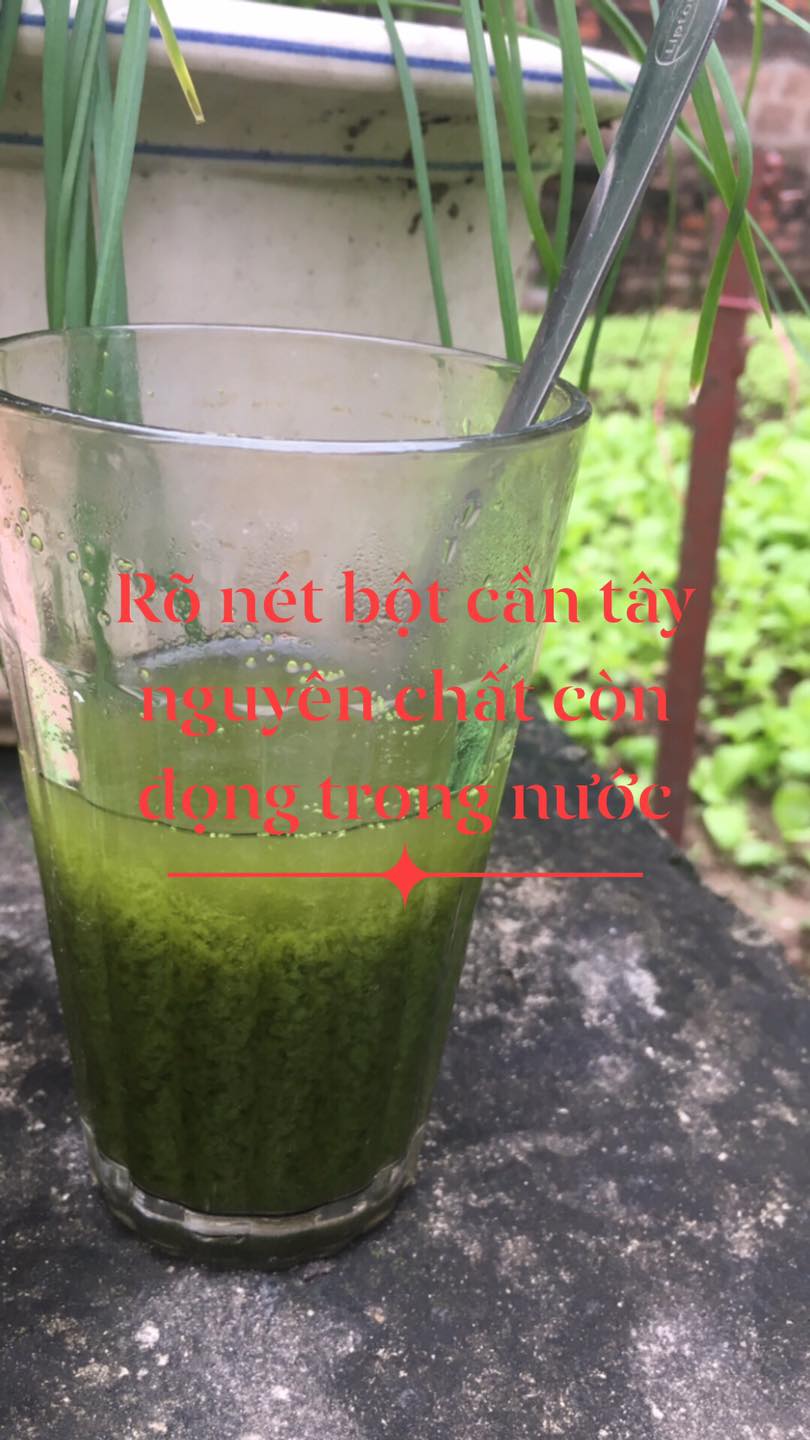 BỘT CẦN TÂY SẤY LẠNH GIẢM CÂN