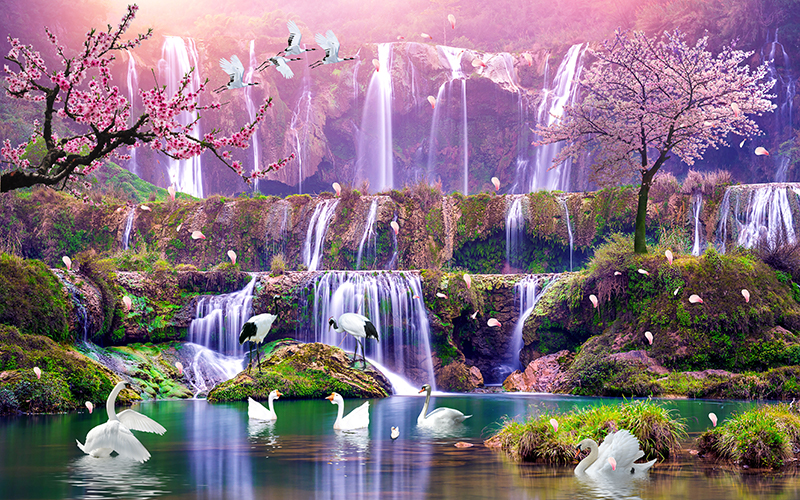 Tranh dán tường HD Đàn thiên nga bên hồ nước đẹp HTGTV-5031 Kim sa