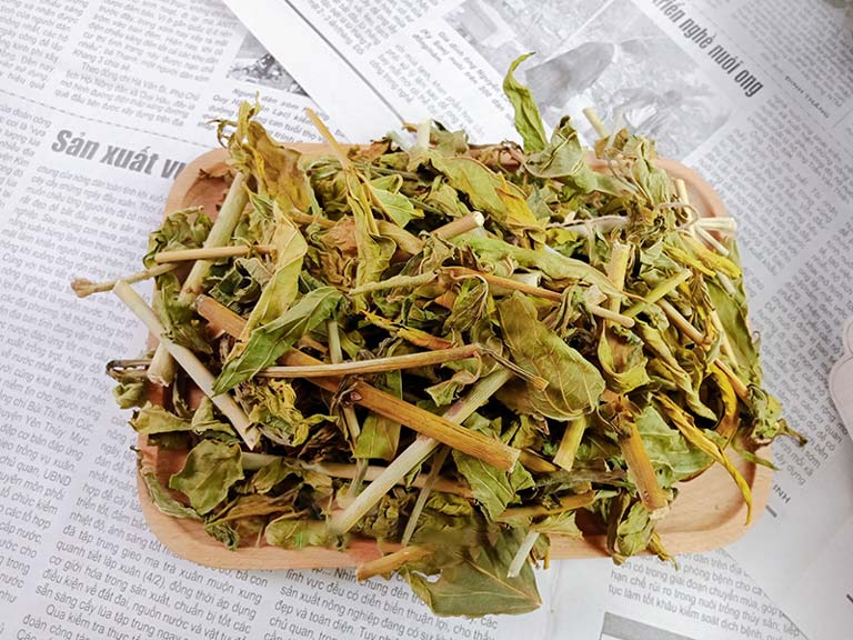 Cây bìm bịp ( xương khỉ ) sấy khô Tấn Phát 1kg