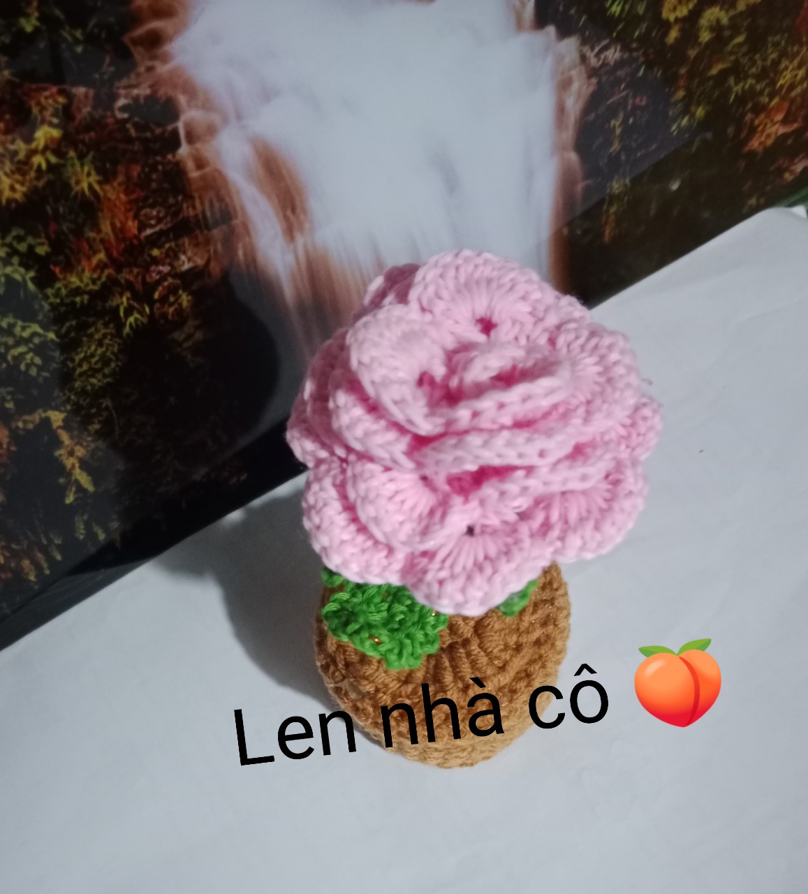 Hoa Hồng Len Handmade