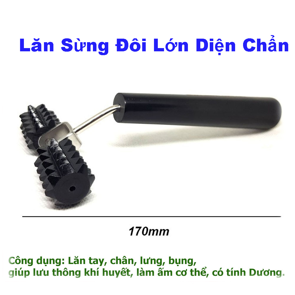 Lăn sừng đôi lớn - dụng cụ diện chẩn