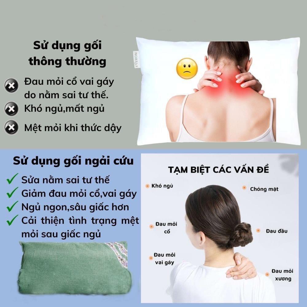 Gối Thảo Dược Ngải Cứu Combo 2 Chiếc Xả Kho
