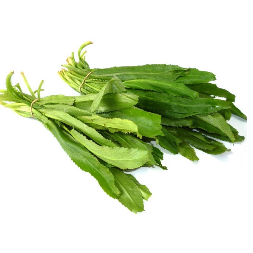 100H - #Hạt_Giống_Mùi_Tàu ( tặng kèm kích mầm và phân bón )