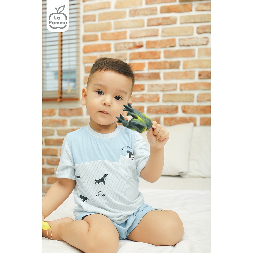 [LA POMME] BỘ CỘC BÉ TRAI CHIM CÁNH CỤT SS172