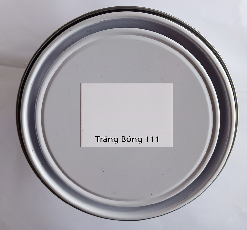 Sơn Epoxy Sắt Kẽm Trắng Mờ (222)