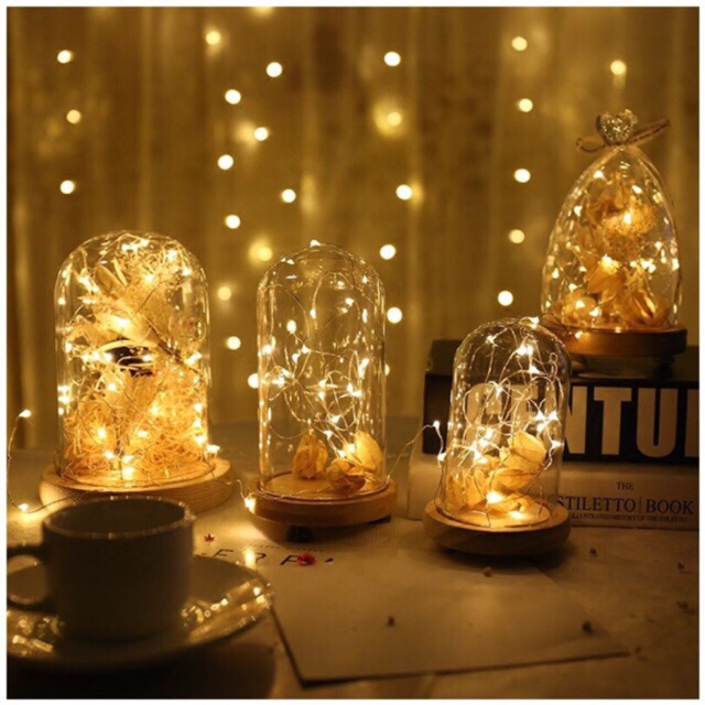 Dây đèn led trang trí dài 3m gồm 30 đom đóm