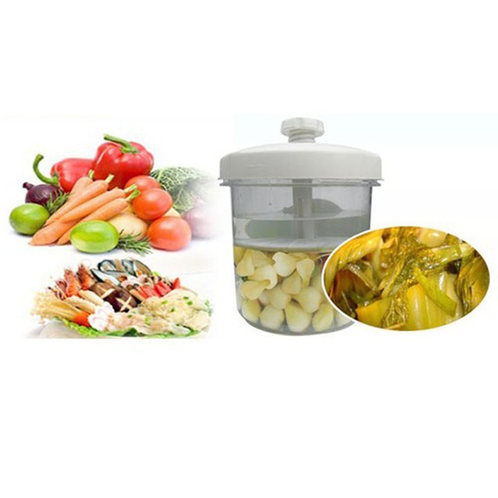 HỘP MUỐI DƯA CÀ hộp đựng muối dưa cà Việt Nhật