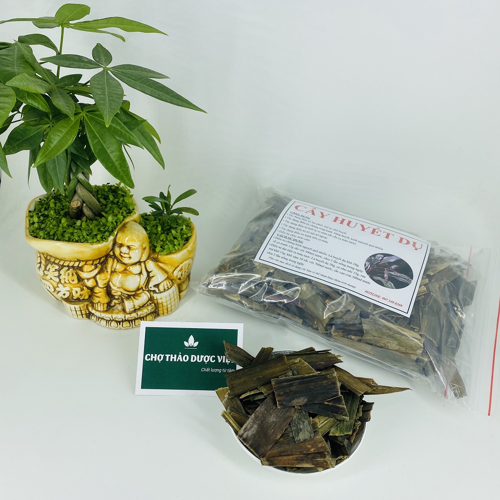 Dried Blood Leaf 500g, Helps Regulate Menstruation, Nourishes Blood, Reduces Bone and Joint Pain