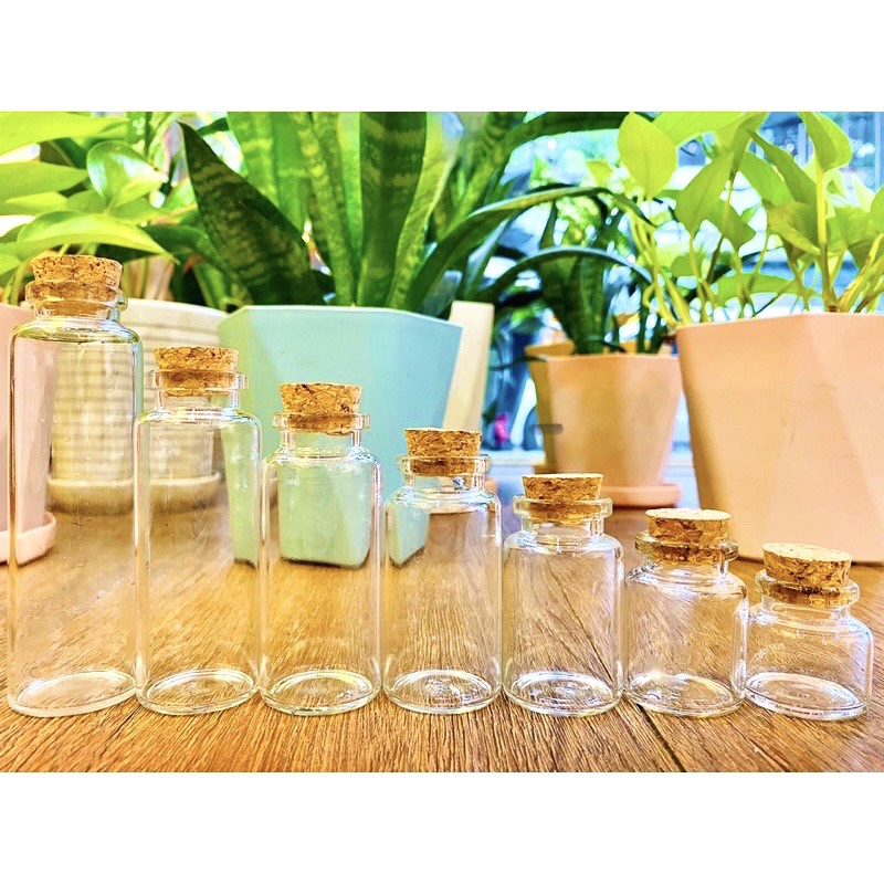 【SET 10】Lọ thuỷ tinh nút bần cao cấp đường kính 3cm【10ml,15ml,20ml,25ml,30ml,40ml,50ml,60ml】