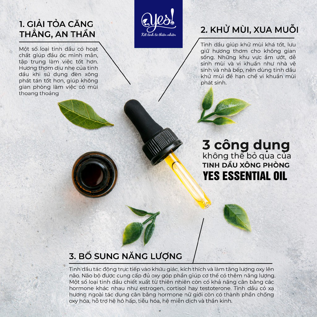 TINH DẦU HƯƠNG THẢO YES! ( ROSEMARY ESSENTIAL OIL )