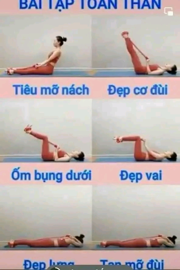 Dây Tập Cơ Bụng Tập Lưng Đàn Hồi Đa Chức Năng
