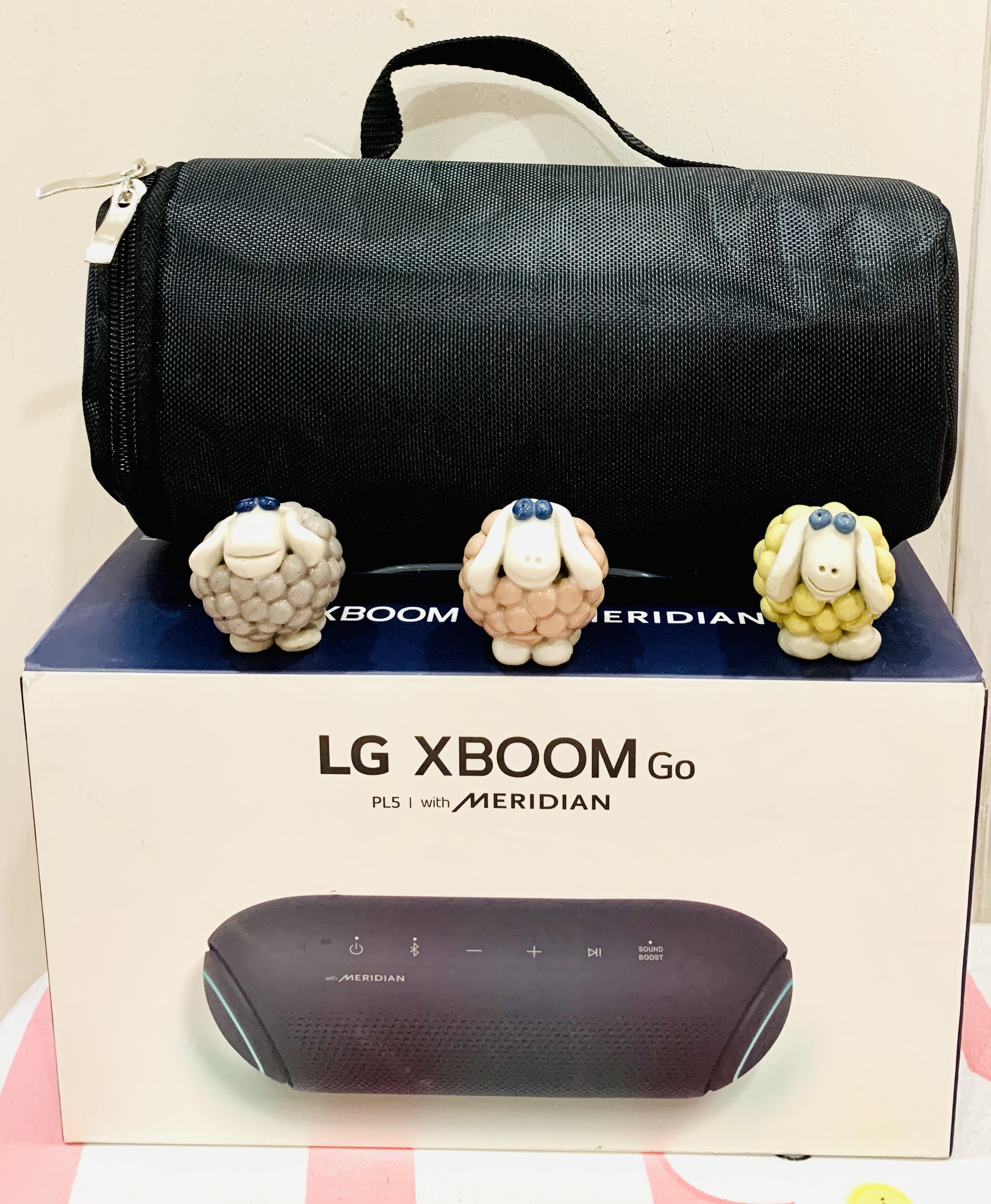 Túi đựng loa LG Xboom PL5