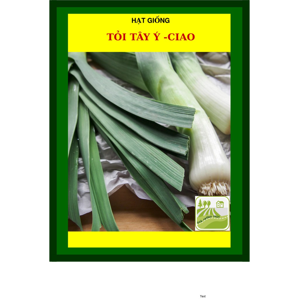 2 Gram - Hạt Giống Tỏi Tây Ý