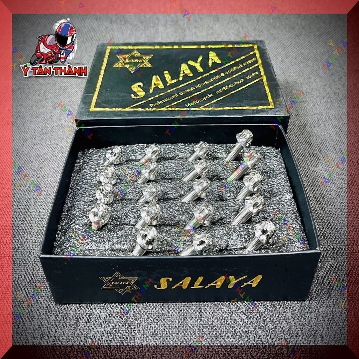 Bộ Ốc Lốc Máy Salaya Future 125,Wave A 2020 19 Con Ms27396
