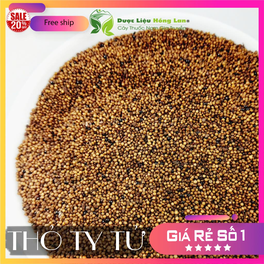 [FreeshipMAX] ✅[THƯỢNG HẠNG] 100g Thỏ Ty Tử đẹp loại 1 - (Hàng chính hãng)