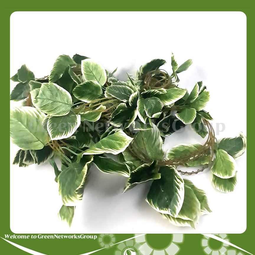 Bộ 5 dây leo lá giả 2m75 trang trí không gian sống GreenNetworks