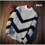 Áo len nam loại dày BS23