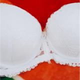 Áo ngực ren mút vừa màu trắng size 34