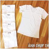 Aó thun cổ tim body Thailand