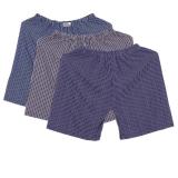 Bộ 3 Quần Short Sooc Thể Thao Nam  3MEN SHORTS 022 A B E