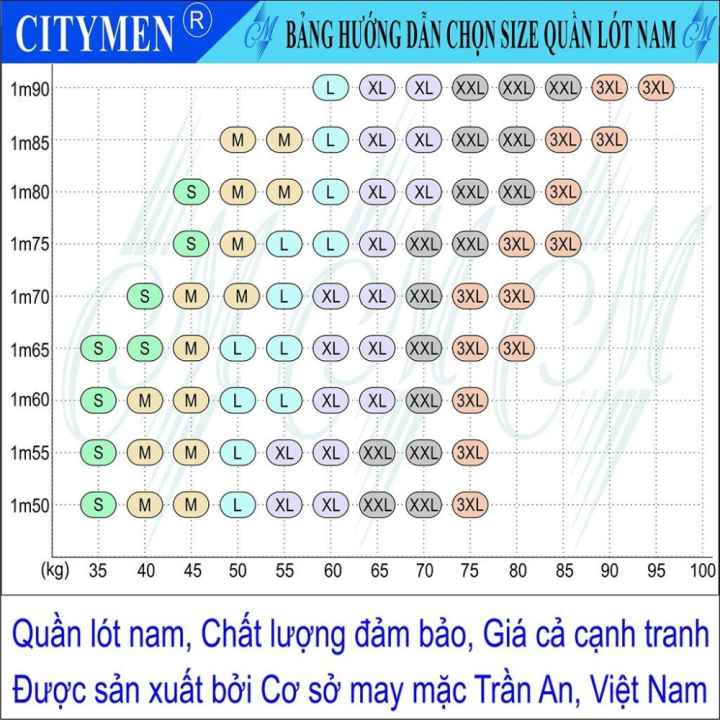 Bộ 5 Quần lót nam nhiều lưng - Hiệu CITYMEN