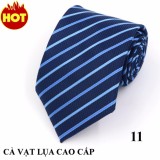 Cà Vạt Nam Cao Cấp - Nhập Khẩu Hàn Quốc - CV02