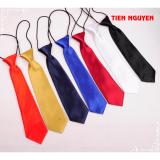 Cà vạt thắt sẵn