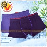 Combo 2 quần sịp đùi nam cao cấp gs200 - xuất nhật