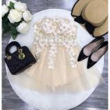 Đầm cúp xòe ren hoa công chúa