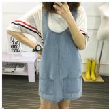 Đầm Jean Suông Thời Trang_D30
