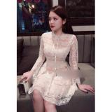 Đầm ren tay dài 2 lớp D563