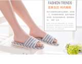 Dép đi trong nhà mùa hè  DB05 (Xanh)