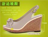Giày đế xuồng nơ bèo