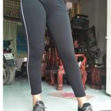 [HCM]Quần thun nữ - legging (Ôm Body sọc viền trăng)